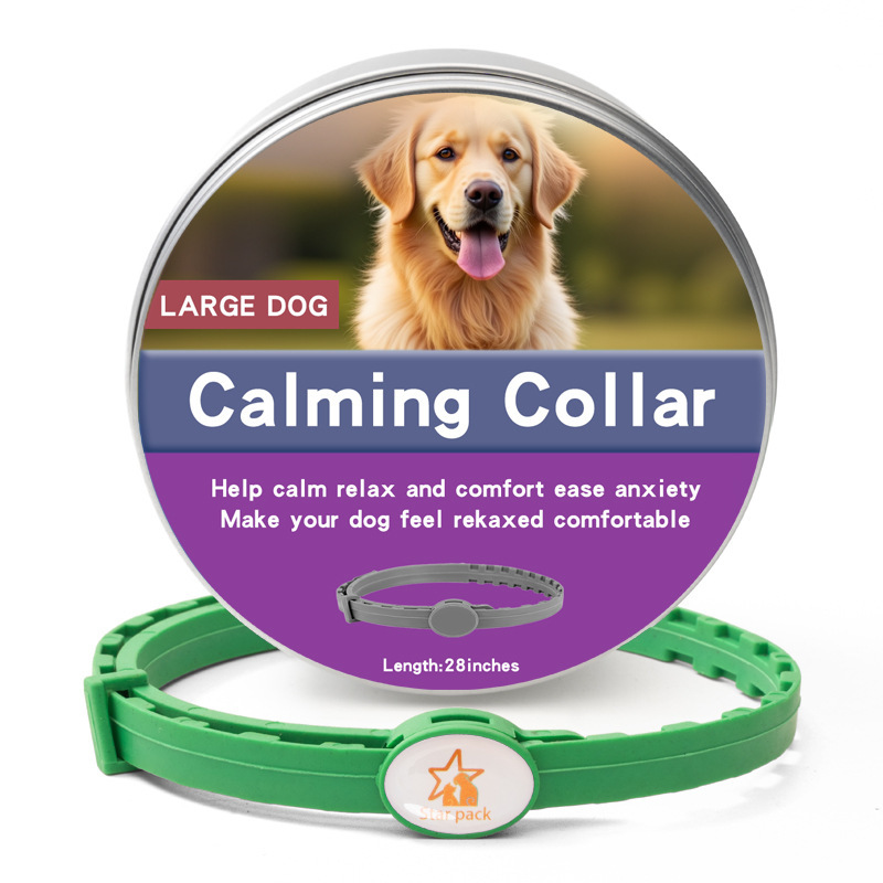 맞춤형 대형견 박스형 그린 72CM