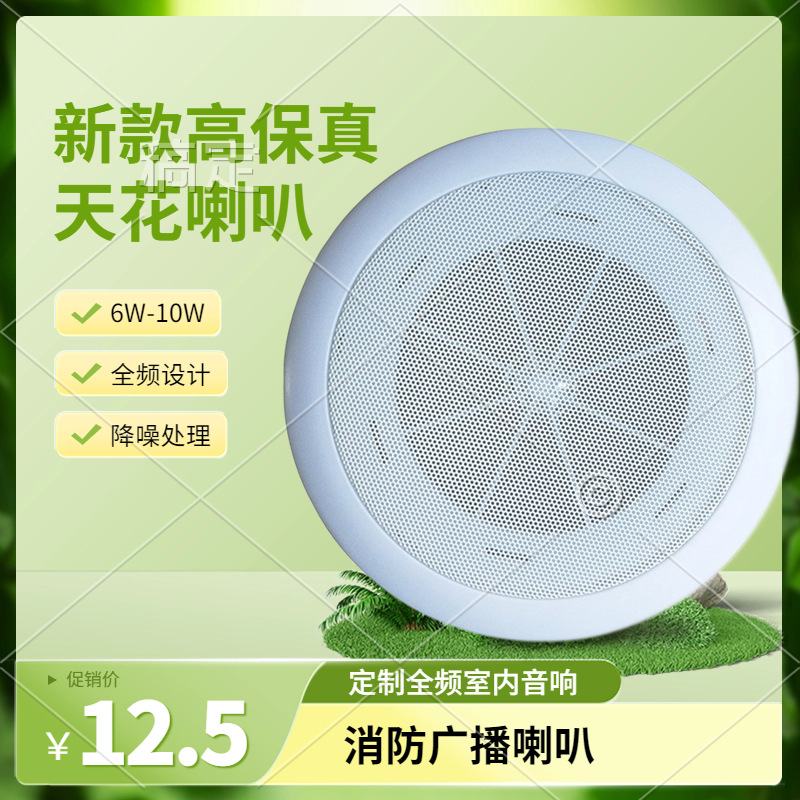 Supply of 3W-6W ceiling speakers for public broadcasting background…