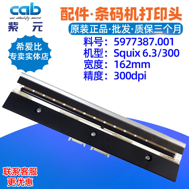 CAB����Squix 6.3 300dpi��ӡͷ5977387 5977311�����ǩ������ͷ