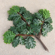 ���������~�^�z��������֦�Gɫֲ�������~�Ӽ٘�֦�b��쾰�����