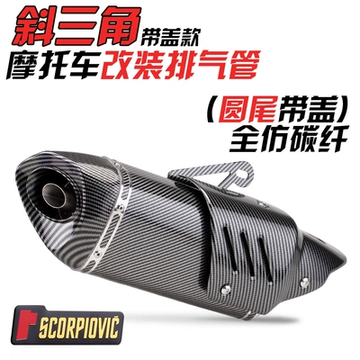 Exhaust pipe GSX250 spring breeze 250SR - oblique-triangular-round-tail-full-imitation-carbon-fiber