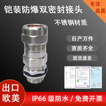 星缆不锈钢双密封电缆线防水接头填料函连接器铠装防爆密封格兰头