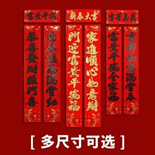 2026�R����y���괺�����������F�T�^�겼�ø����T�N�b���Ʒ