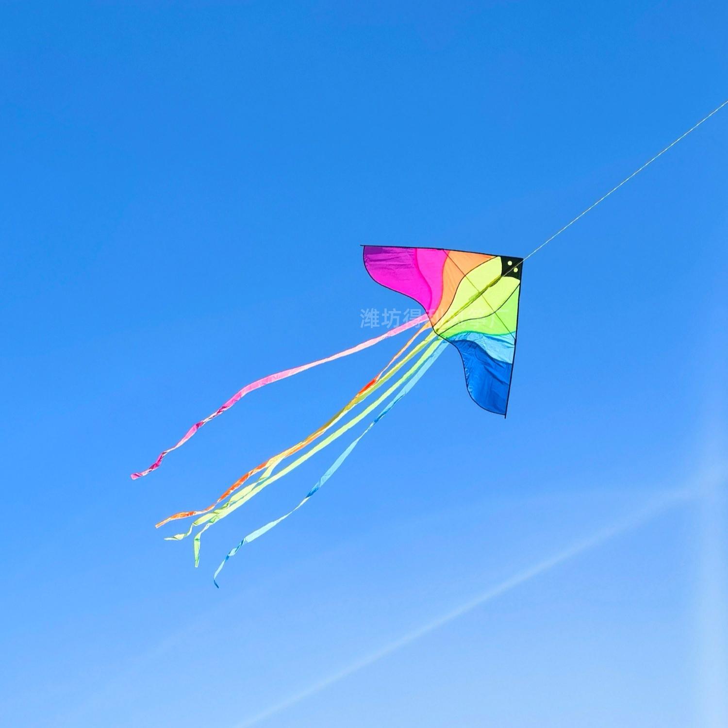 New Flying Kite, Colorful Kite, Phoenix Large Ultra-Long Tail, Easy to Fly, Adult and Children, Weifang Kite Factory Wholesale