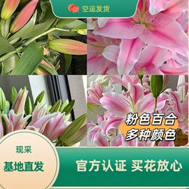 鲜切花;鲜花花艺制品;手捧花