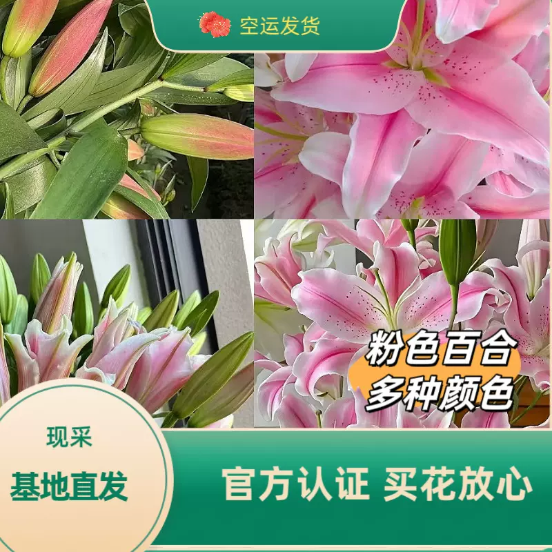 香水百合鲜花云南基地直发花店花束直供办公室水养插花鲜切单瓣
