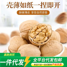 �½�185��Ƥ����ɢ�b�������l���b �����_���w�����K��Ƥ������