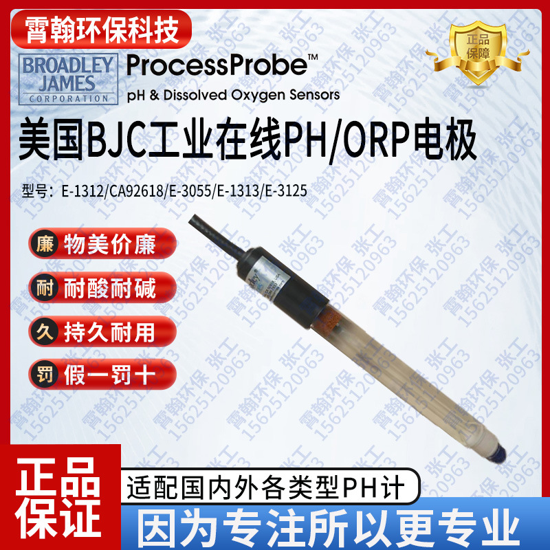CA92618工业PH电极E-1312-EC1-M10ST美国BJC在线式ORP探头E-1313