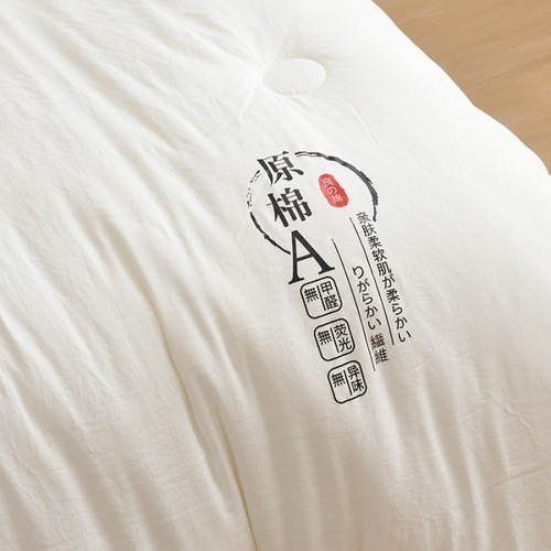 A-type raw cotton soybean fiber quilt for spring and autumn, thick winter quilt, all-season student quilt, wholesale event gift quilt