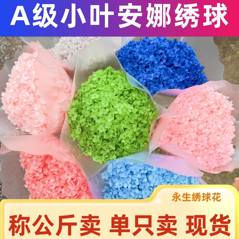 Grade a Anna Eternal Flower Hydrangea Loose Single Stem Small Leaf Anna Hydrangea Dried Flower Bouquet Real Flower Wood Hydrangea