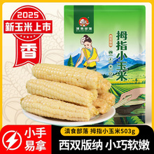 ������������p��{Ĵָ�������r��Ŵ������ָ���׃�ͯ��ʹ��l