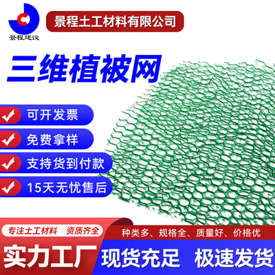 River slope protection three-dimensional vegetation Manufactor green three-dimensional Soil Mat Plastic three-dimensional vegetation