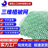河道护坡三维植被网厂家绿化植草三维土工网垫加筋塑料三维植被网|ms