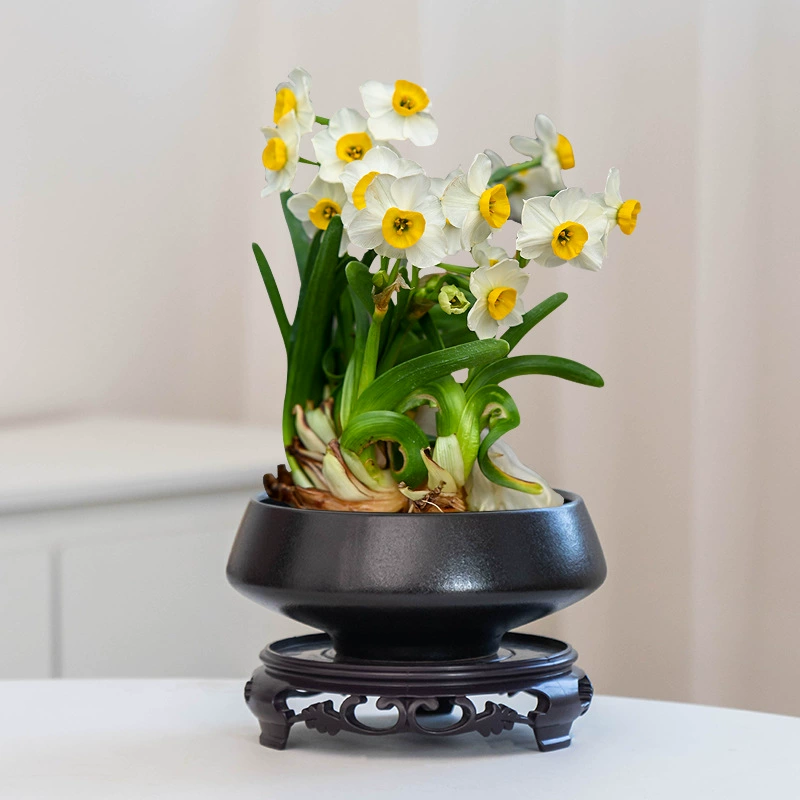 Lubao нарцисс цветочный горшок в китайском стиле