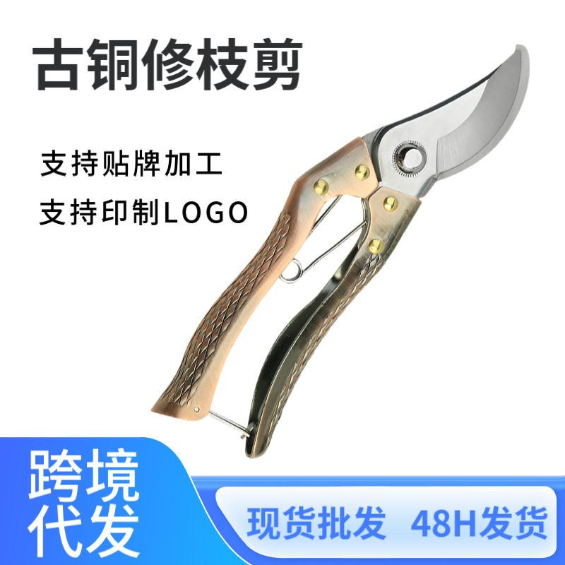 园林专用果树粗枝剪刀电镀花艺盆栽摘果不锈钢修枝剪刀盆景苗木