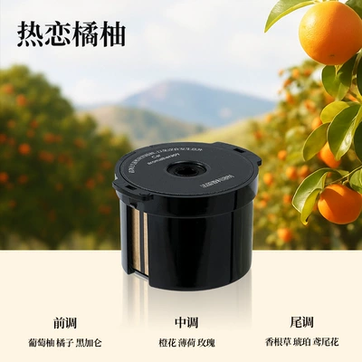 Car Perfume Aromatherapy | Automatic Spray 2026 New - replacement-fragrance-bomb-passionate-orange