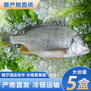 �S���~�S���~���~�F�����l ���rˮ�a�S���� �S�_���a�ذ��]