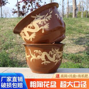 �S��ֱ�l�辰��������մ����������ش�̖ͥԺ�N�仨���F�仨����