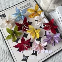 �����L���m�����ɫ�l�A�^��diy�^l���仨���bϲ�Ǻа������l