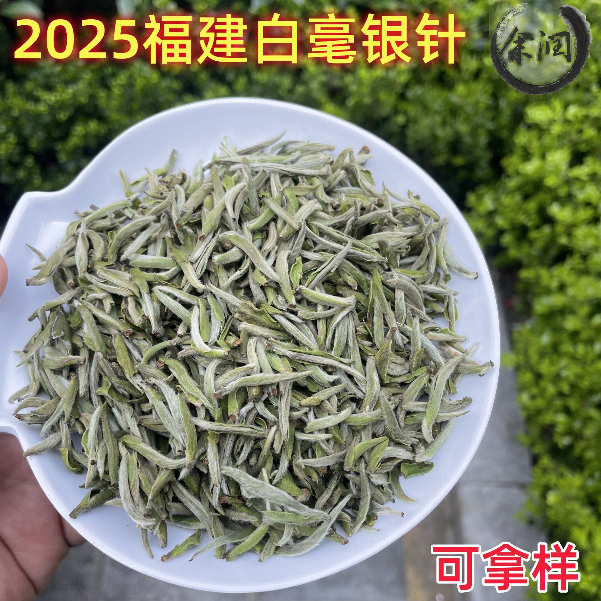 2025年白毫银针散茶福建厂家白茶明前春茶米芽白豪银针散装茶叶批