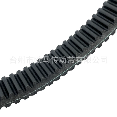 Belt Cf800 900 1000