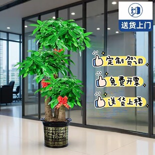 �r��ֲ�����U�lؔ�䲽���ߴ�ÿ͏d���Դ��҃�ֲ���_�I�ͶY���w�Y