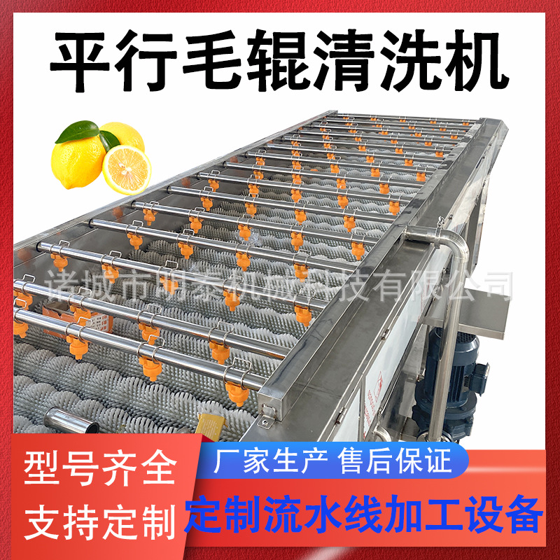 海蛎子平行毛辊清洗机人参果砂糖橘毛刷洗果机百香果清洗加工设备