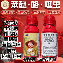 小麦拌种剂 12%苯咯噻种子处理悬浮剂预防根腐病蚜虫苯醚咯噻虫