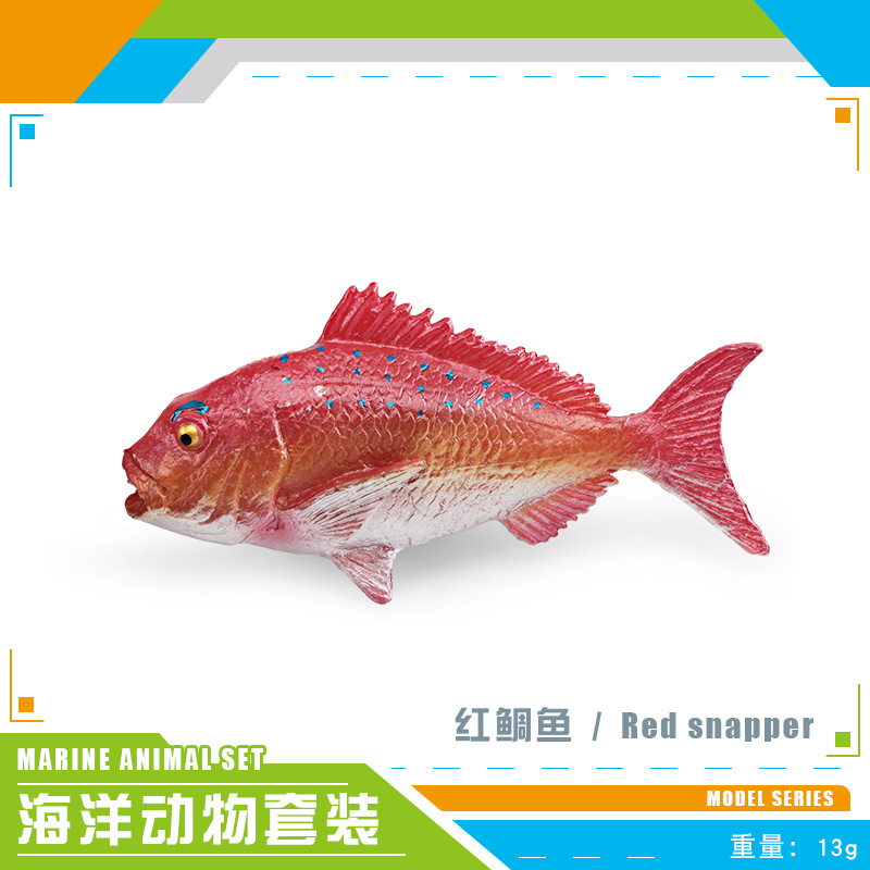 PL127-3039 pargo rojo 13g