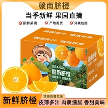 �����M��Ě�Ƚ�������������l�M�ݳȑ������rˮ�����l