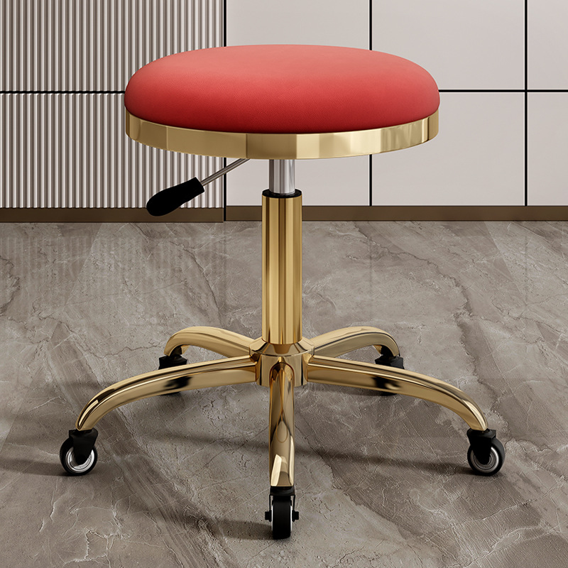 silla de dentista de estética elevadora polea de manicura silla giratoria silla de computadora silla de laboratorio maestro taburete