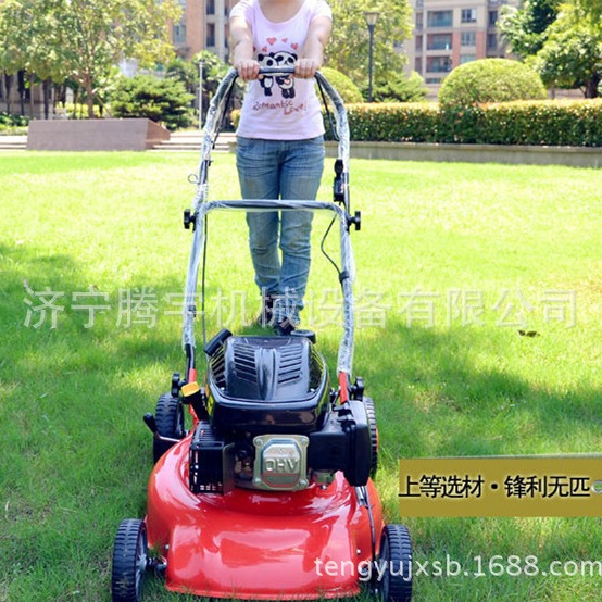 GX160割草机 手推式草坪机 汽油割草机厂家