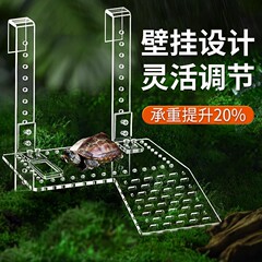 Yee亀の日焼け台は亀のかめの浮島の水槽に登ります。