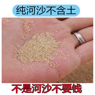 River Sand Fine Sand Flower Sand Fish Tank Bottom Sand Aquarium Landscaping Turtle Hibernation Succulent Paving Sand Wholesale