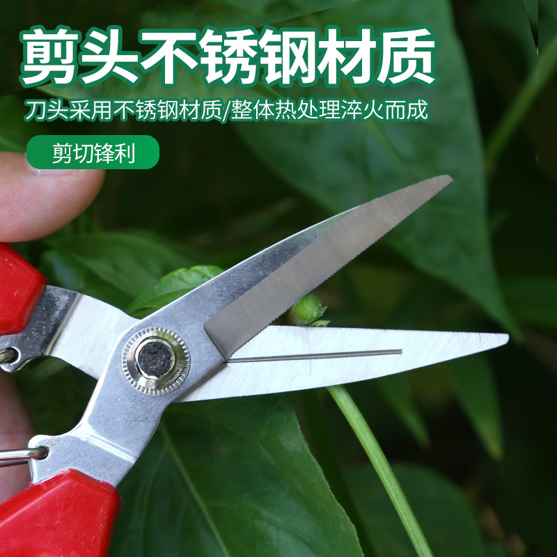 Gana grandes frutas recogiendo flores poda de uva poda de verduras y frutas bonsai poda vegetal tijeras de adelgazamiento de flores nácar naranja tijeras de recolección de frutas