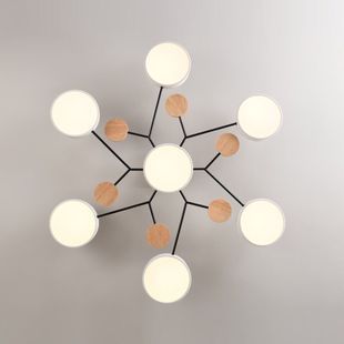 Scandinavian Living Room Lamp Led Ceiling Lamp Bedroom Lamp Creative Popular Restaurant Lamp Rental Room Lamp Whole House Lighting Package