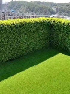 �ļ����ඬ������h�ʠ�����~�S��ֱ��������ͥԺ�G�h���ͺ�ֲ��