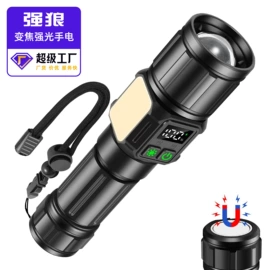 头灯头戴电筒;手电筒;提灯