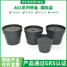 �S��ֱ�N��ɫ���ϻ������ʽ���W���s�̨�N����ͥ���w���W�L