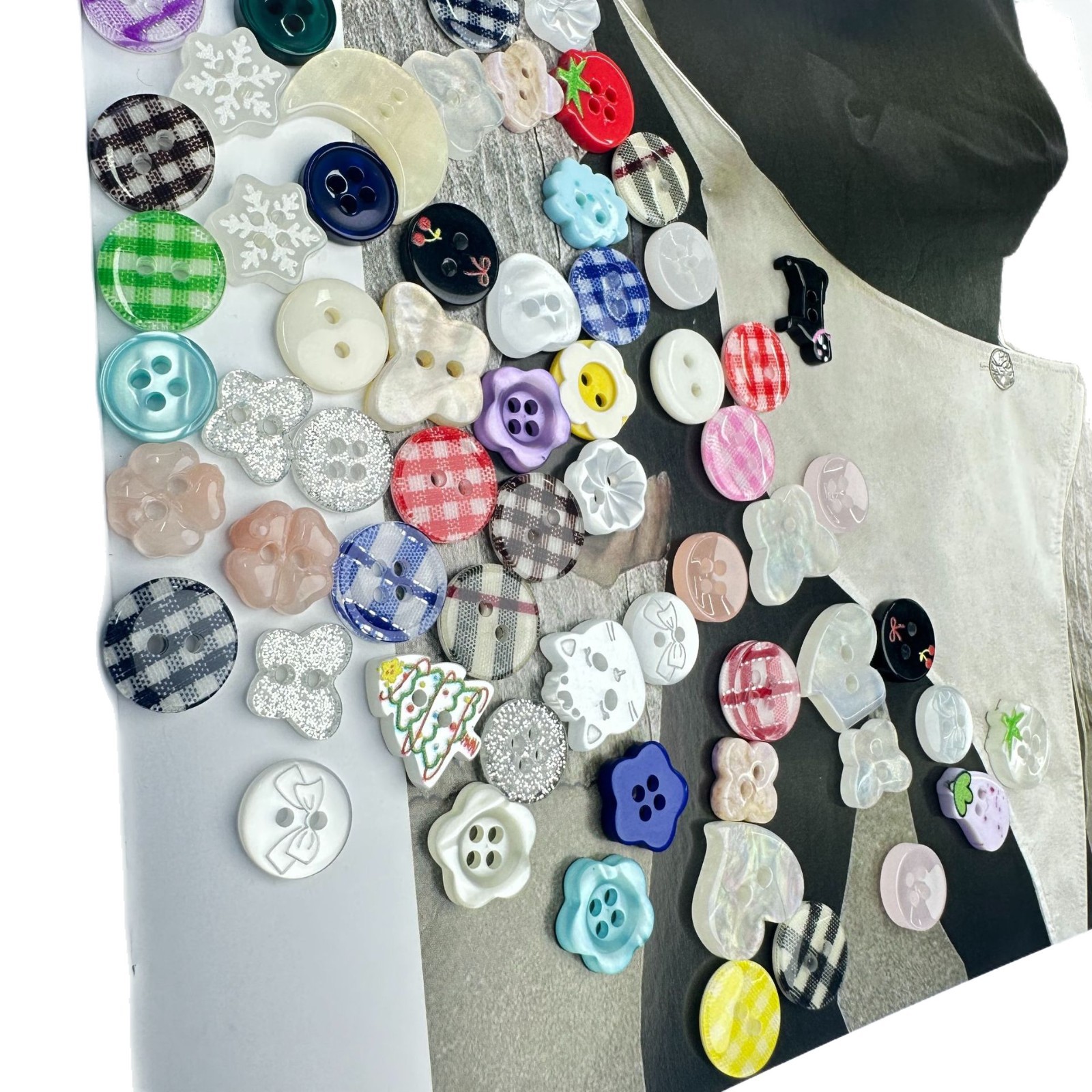 2025-08-01 11:22:21.jpg