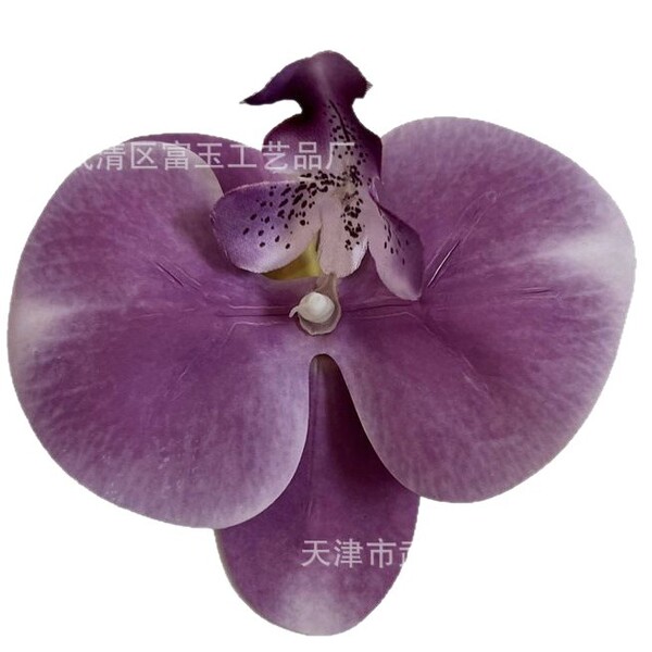Phalaenopsis Orchid Head Simulated Flower Printed Film Flower…
