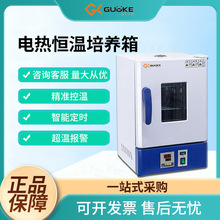 国科电热恒温培养箱 实验室细菌微生物腹透液催芽电热恒温培养箱