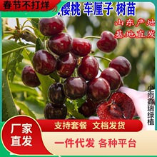 һ�����l܇���ә��Ҙ����̨ͥԺ�Nֲ܇�������Ϸ��������Ե��ԙ�