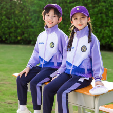 2025幼儿园园服春秋装运动儿童学院风班服一年级中小学生校服套装