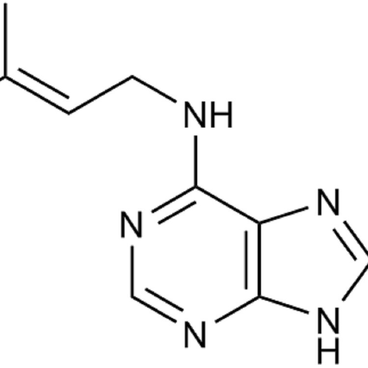 N6-异戊烯基腺嘌呤/2-IP/1.0g，烯腺嘌呤