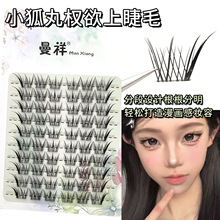 С��������Ͻ�ë10�Ŵ�������β���L����2025���¿��ϵб�w��ë