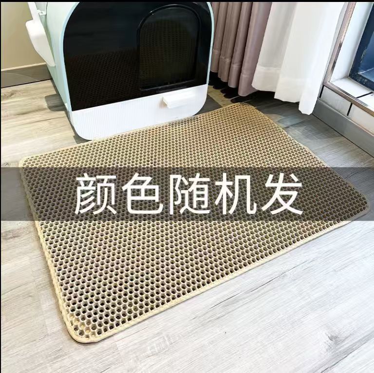 색상 무작위