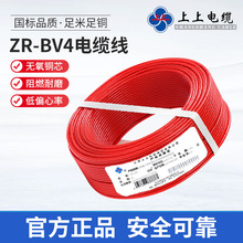 |ZR-BV 4ƽ늾 ȼb| 늾늾