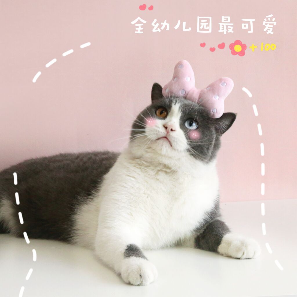QQ图片20221110142914