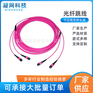MPO/MTP-MPO/MTP 24о 3���f��100G MTP���w����
